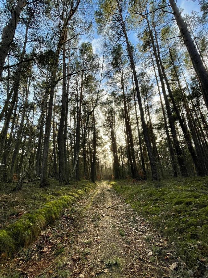 Wygodny Eko Domek Kolo Nadmorskiego Parku Krajobrazowego Karwienskie Bloto Drugie Buitenkant foto