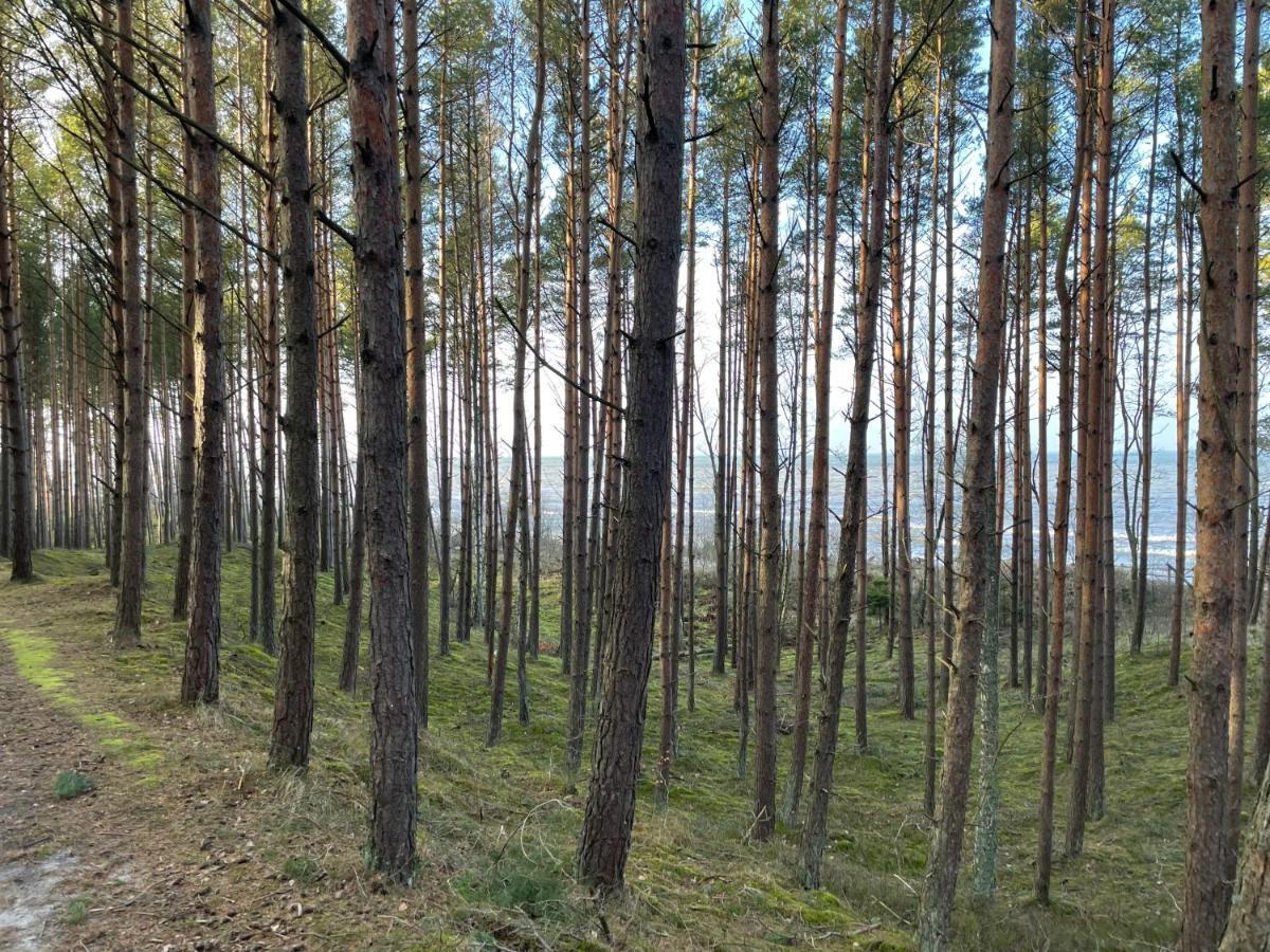 Wygodny Eko Domek Kolo Nadmorskiego Parku Krajobrazowego Karwienskie Bloto Drugie Buitenkant foto